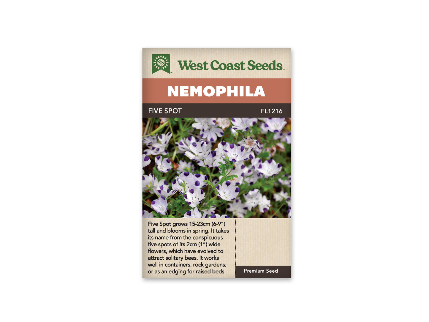 Nemophilia "Five Spot" West Coast Seeds