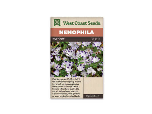 Nemophilia "Five Spot" West Coast Seeds