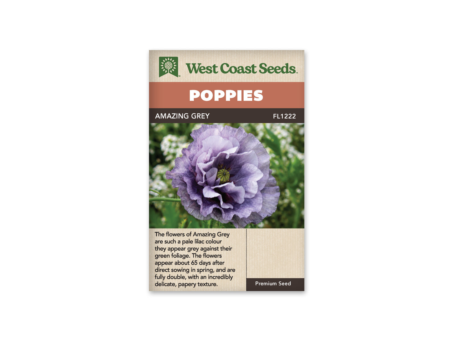 Poppies “Amazing Grey” West Coast Seeds