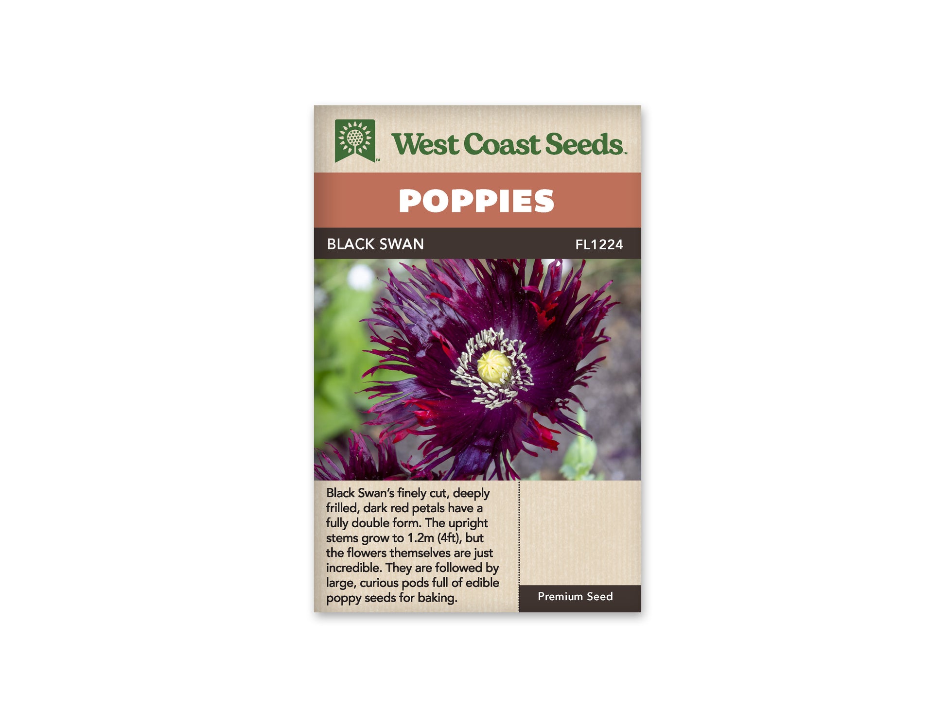 Poppies "Black Swan" West Coast Seeds