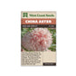 Aster "King Size Apricot" West Coast Seeds