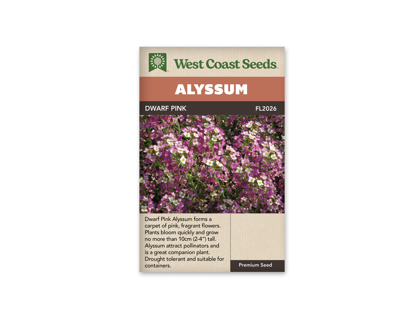 Alyssum “Dwarf Pink” West Coast Seeds