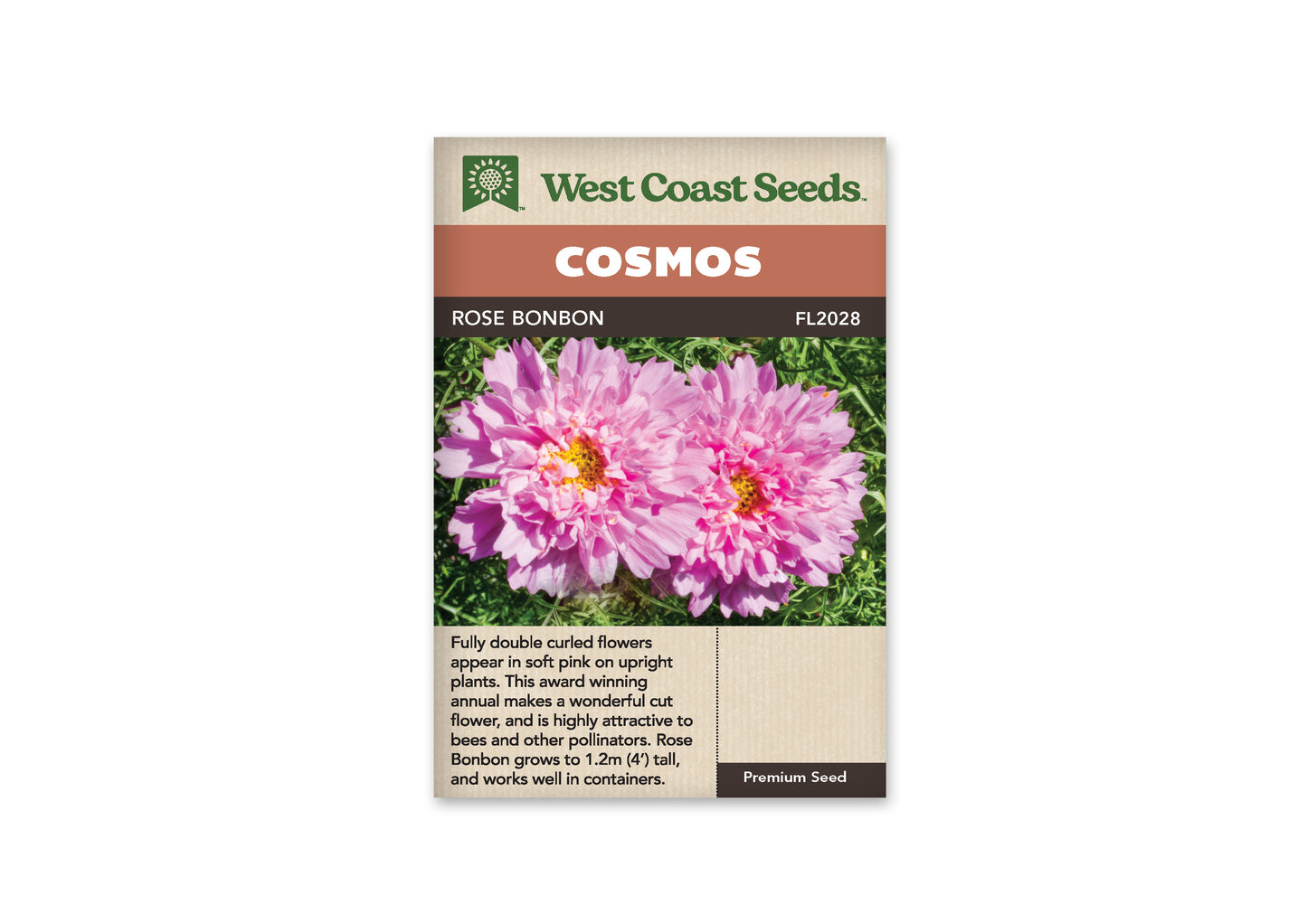 Cosmos "Double Click Rose Bon Bon" West Coast Seeds