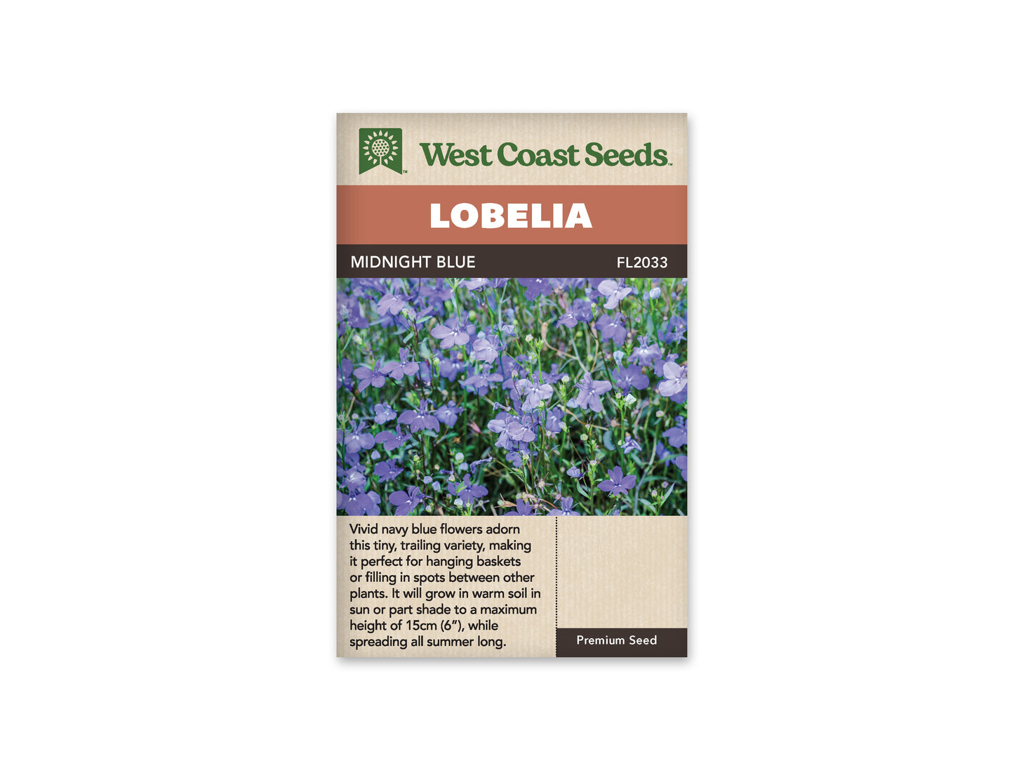 Lobelia "Midnight Blue" West Coast Seeds