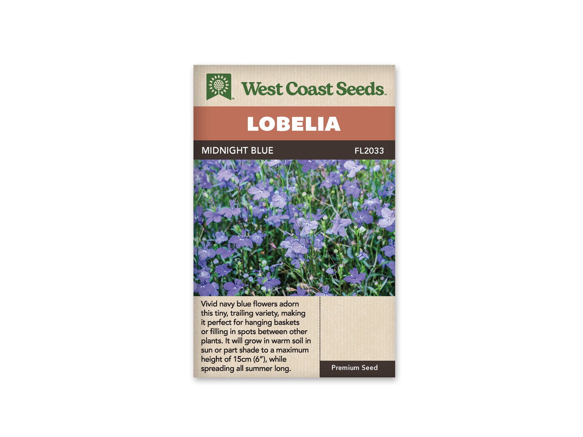 Lobelia "Midnight Blue" West Coast Seeds
