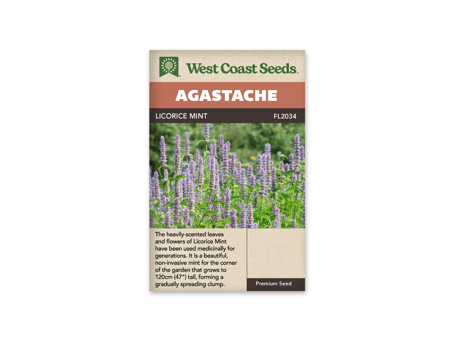 Agastache "Licorice Mint" West Coast Seeds