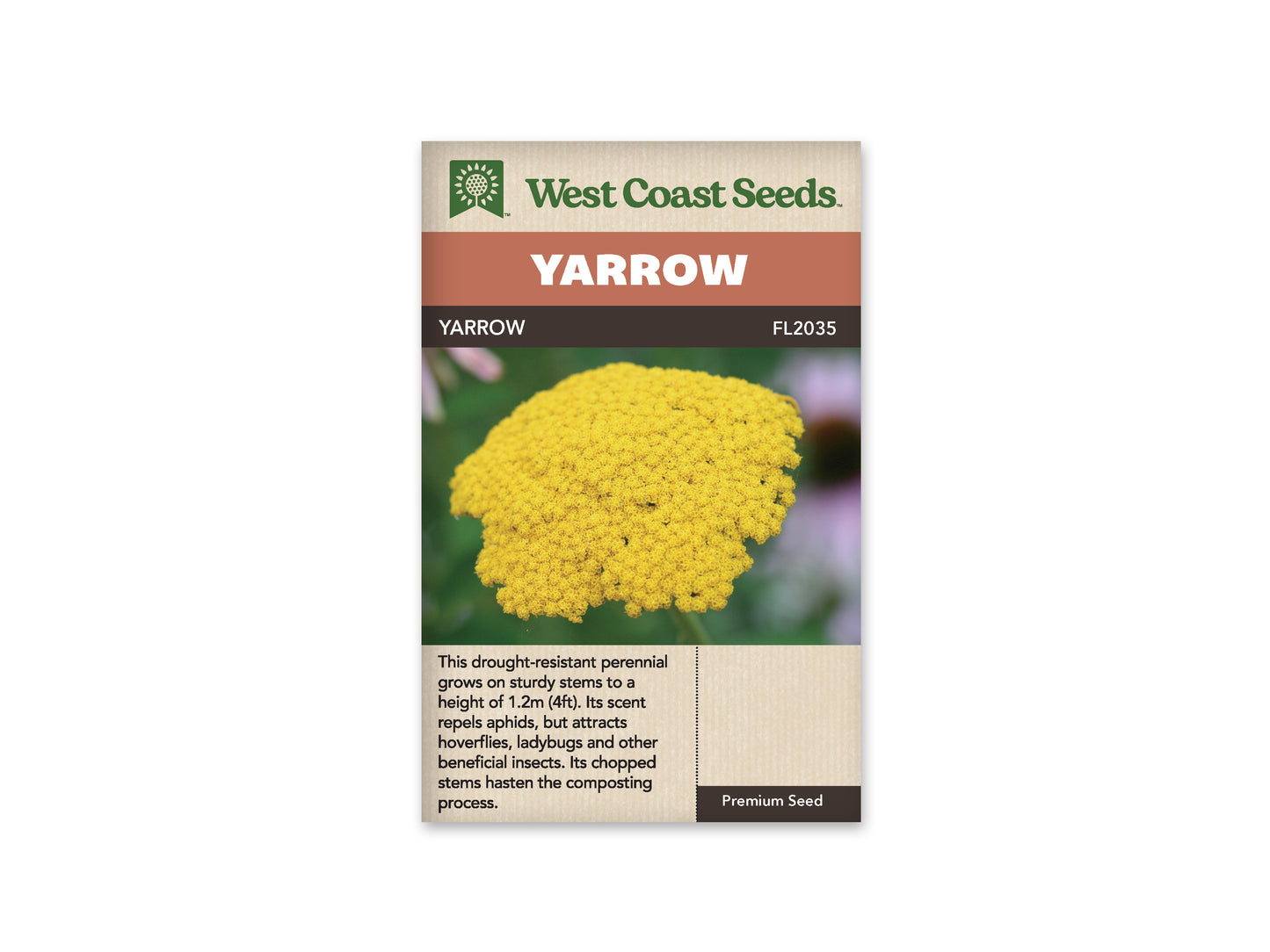 Yarrow "Yarrow" West Coast Seeds