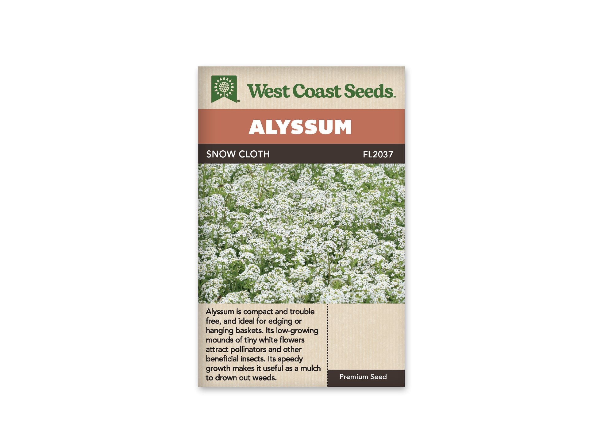 Alyssum "Snow Cloth" West Coast Seeds