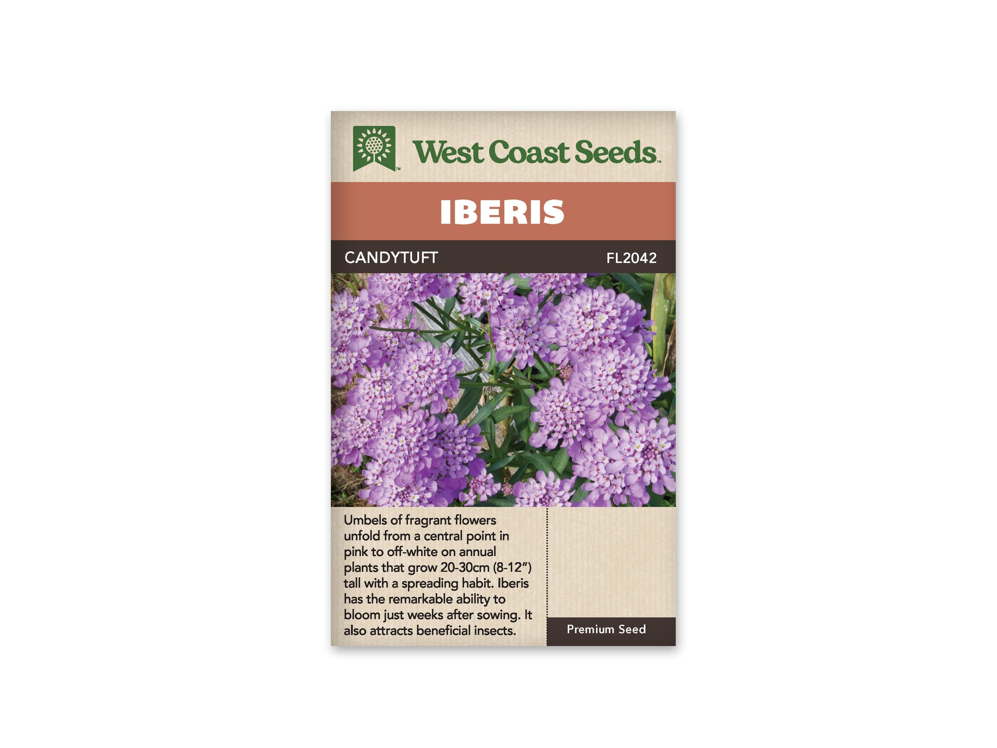 Iberis "Candytuft" West Coast Seeds