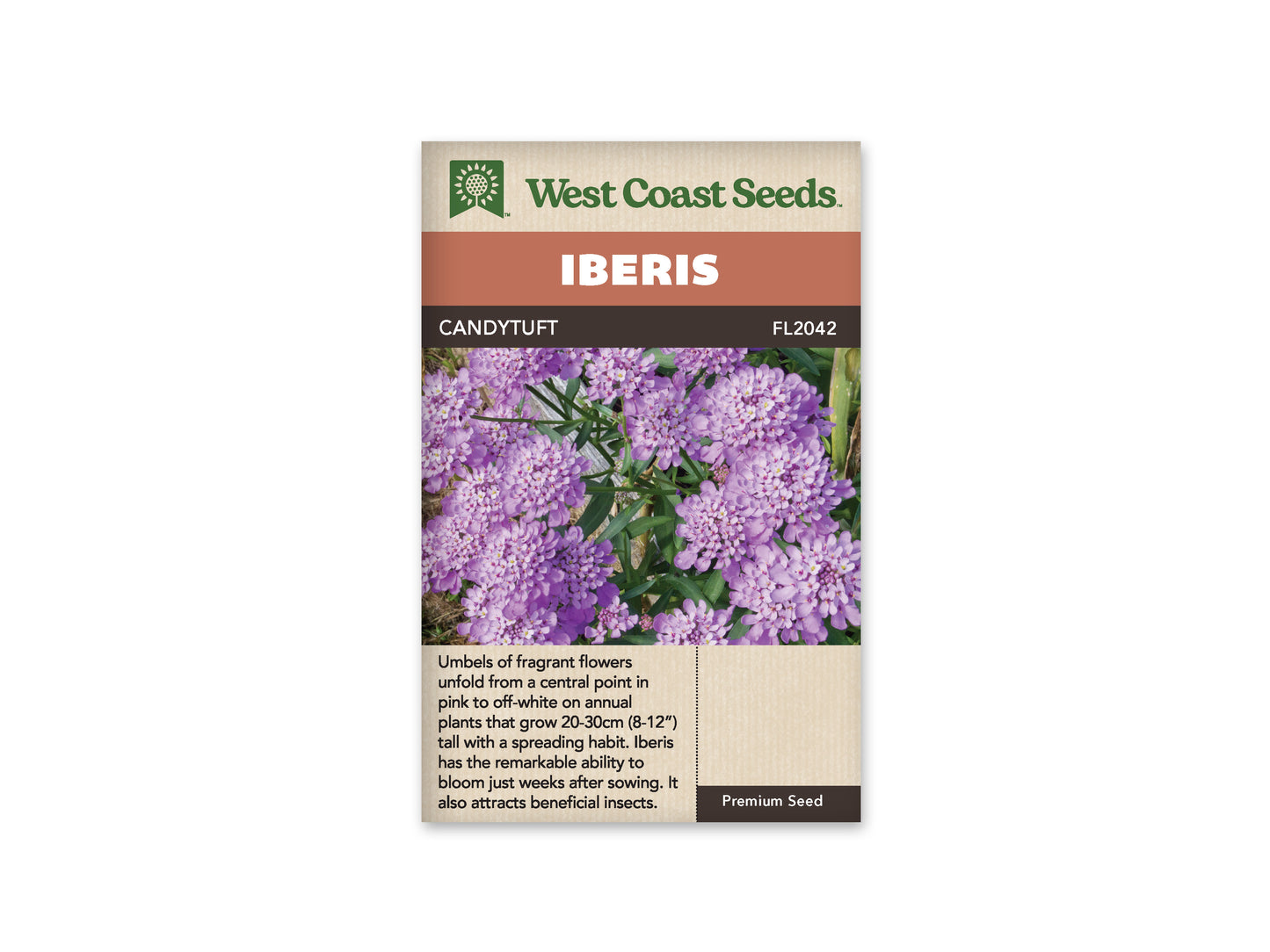 Iberis "Candytuft" West Coast Seeds