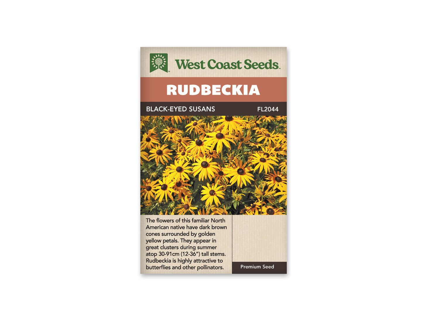 Rudbeckia "Black Eyed Susan" West Coast Seeds