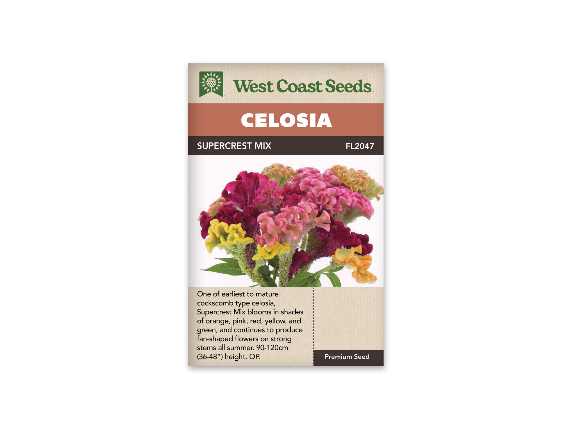 Celosia "Supercrest Mix" West Coast Seeds