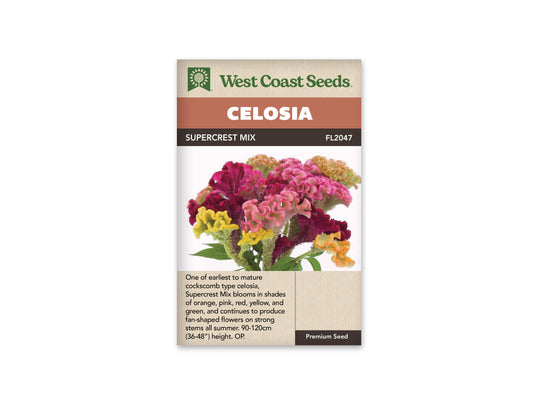 Celosia "Supercrest Mix" West Coast Seeds