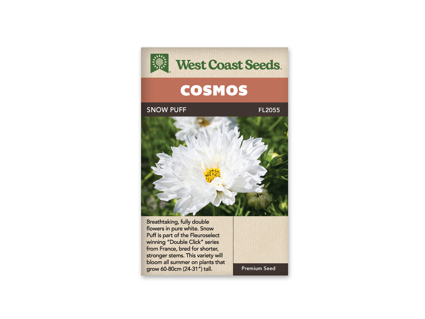 Cosmos “Double Click Snow Puff” West Coast Seeds
