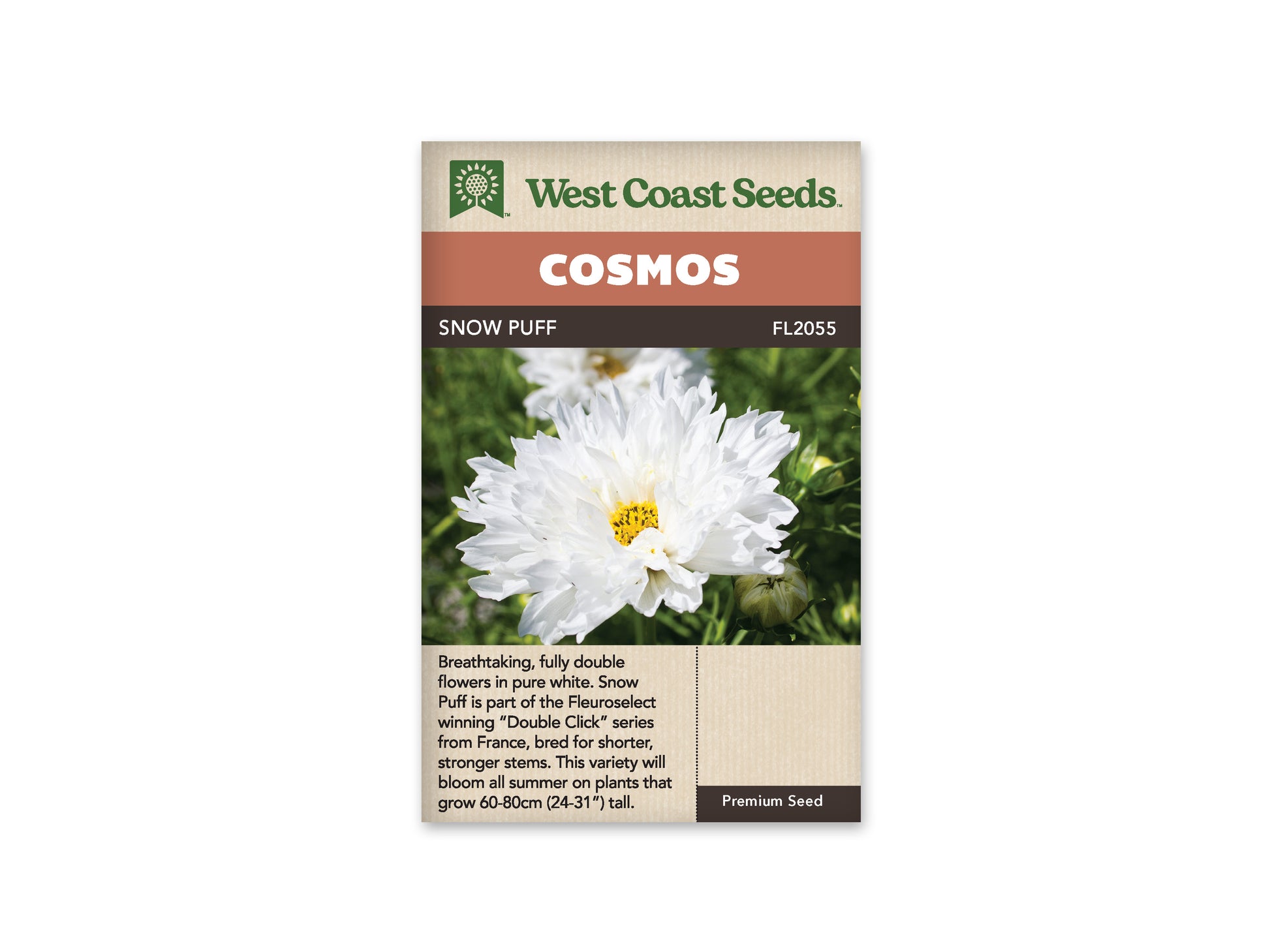 Cosmos “Double Click Snow Puff” West Coast Seeds