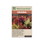 Celosia “Celway Mix Pelleted” West Coast Seeds