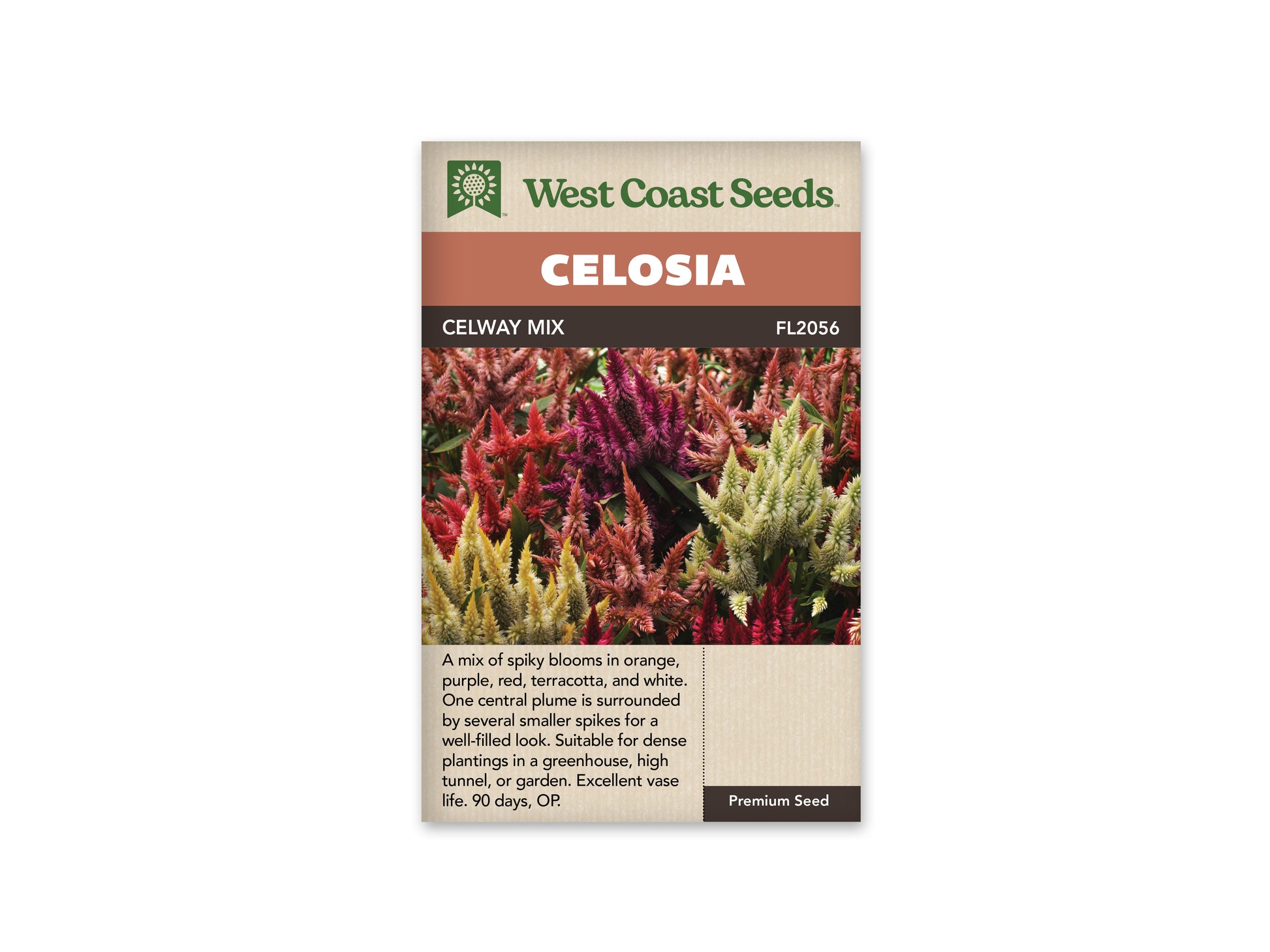 Celosia “Celway Mix Pelleted” West Coast Seeds