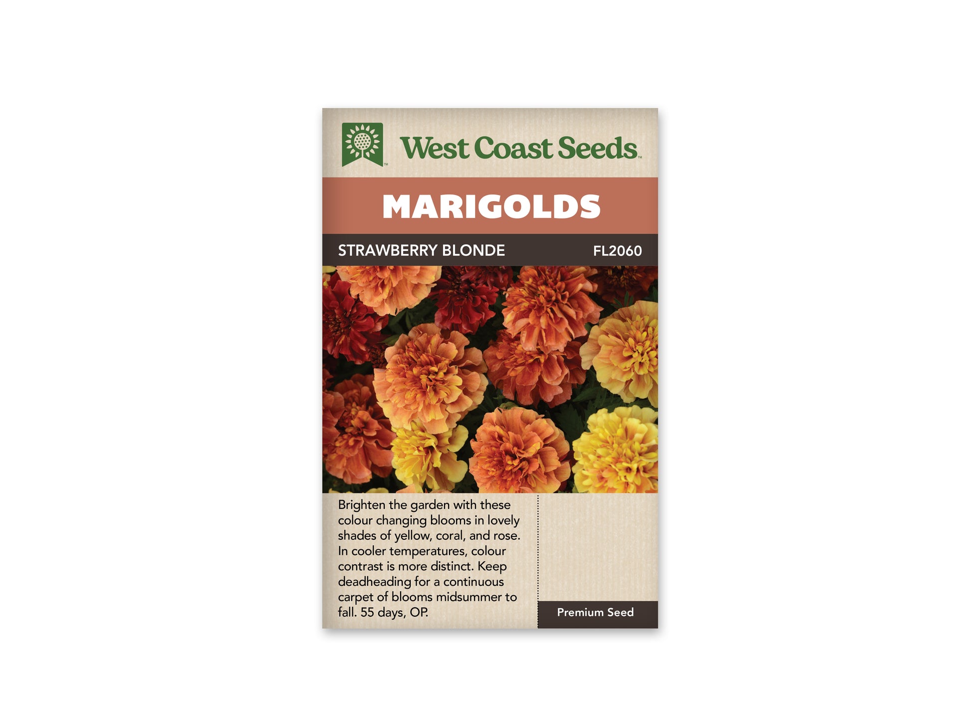 Marigold “Strawberry Blonde” West Coast Seeds