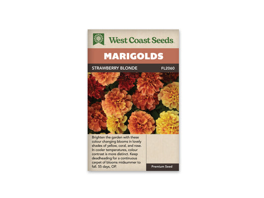 Marigold “Strawberry Blonde” West Coast Seeds