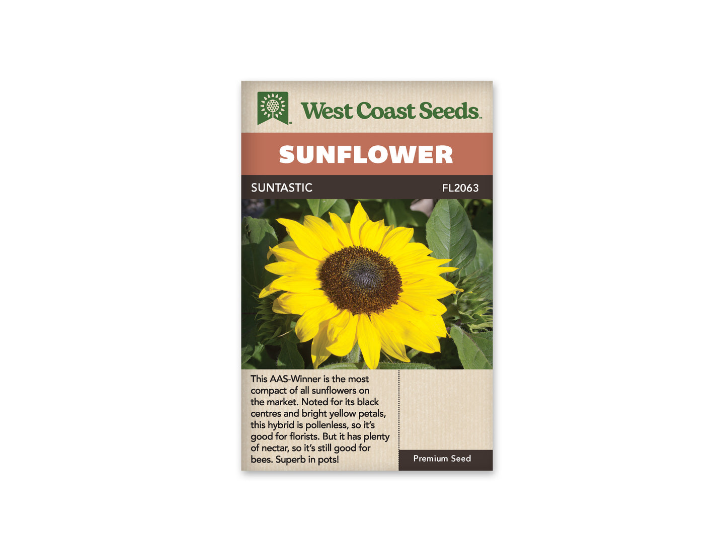 Sunflowers “Suntastic F1” West Coast Seeds