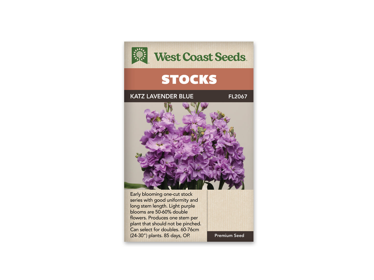 Stock "Katz Lavender Blue" West Coast Seeds