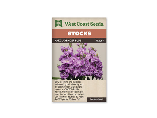 Stock "Katz Lavender Blue" West Coast Seeds