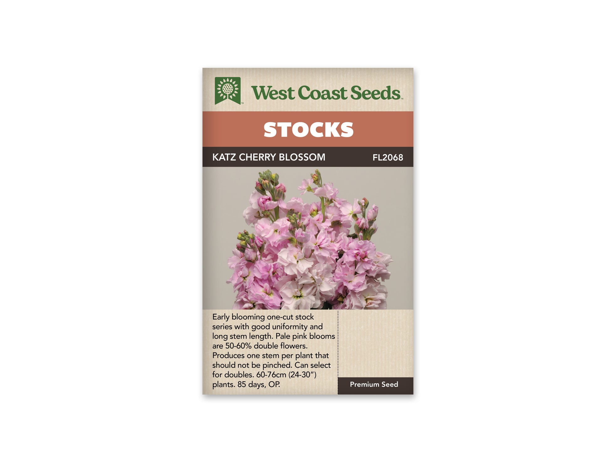 Stock "Katz Cherry Blossom" West Coast Seeds