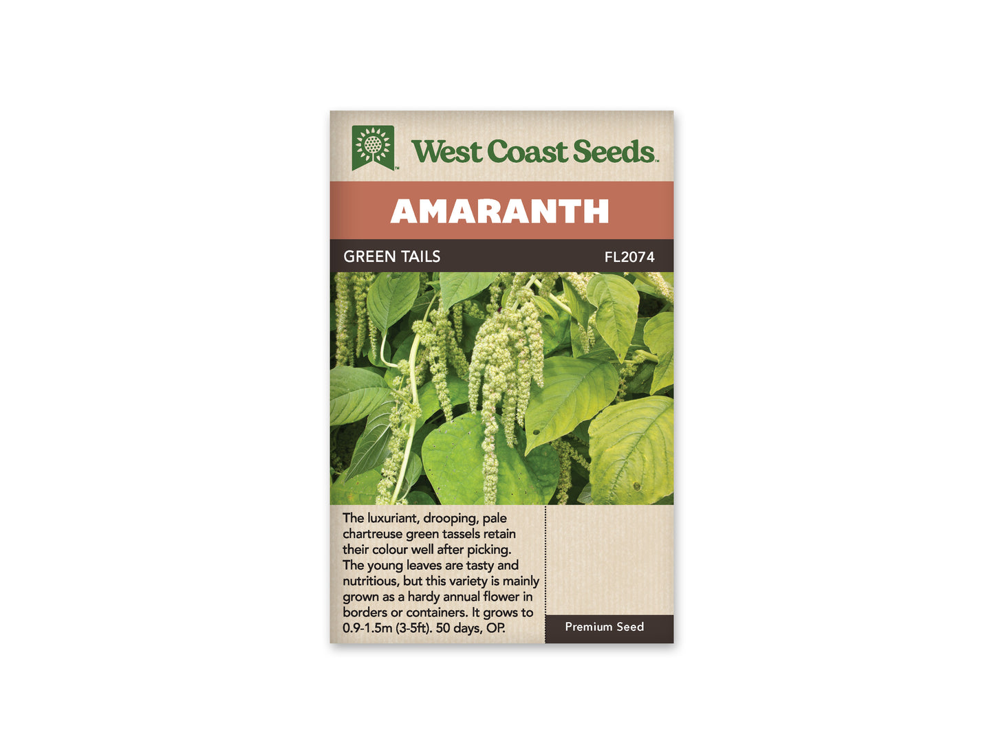 Amaranth "Green Tails" West Coast Seeds