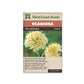 Scabiosa “Fata Morgana” West Coast Seeds