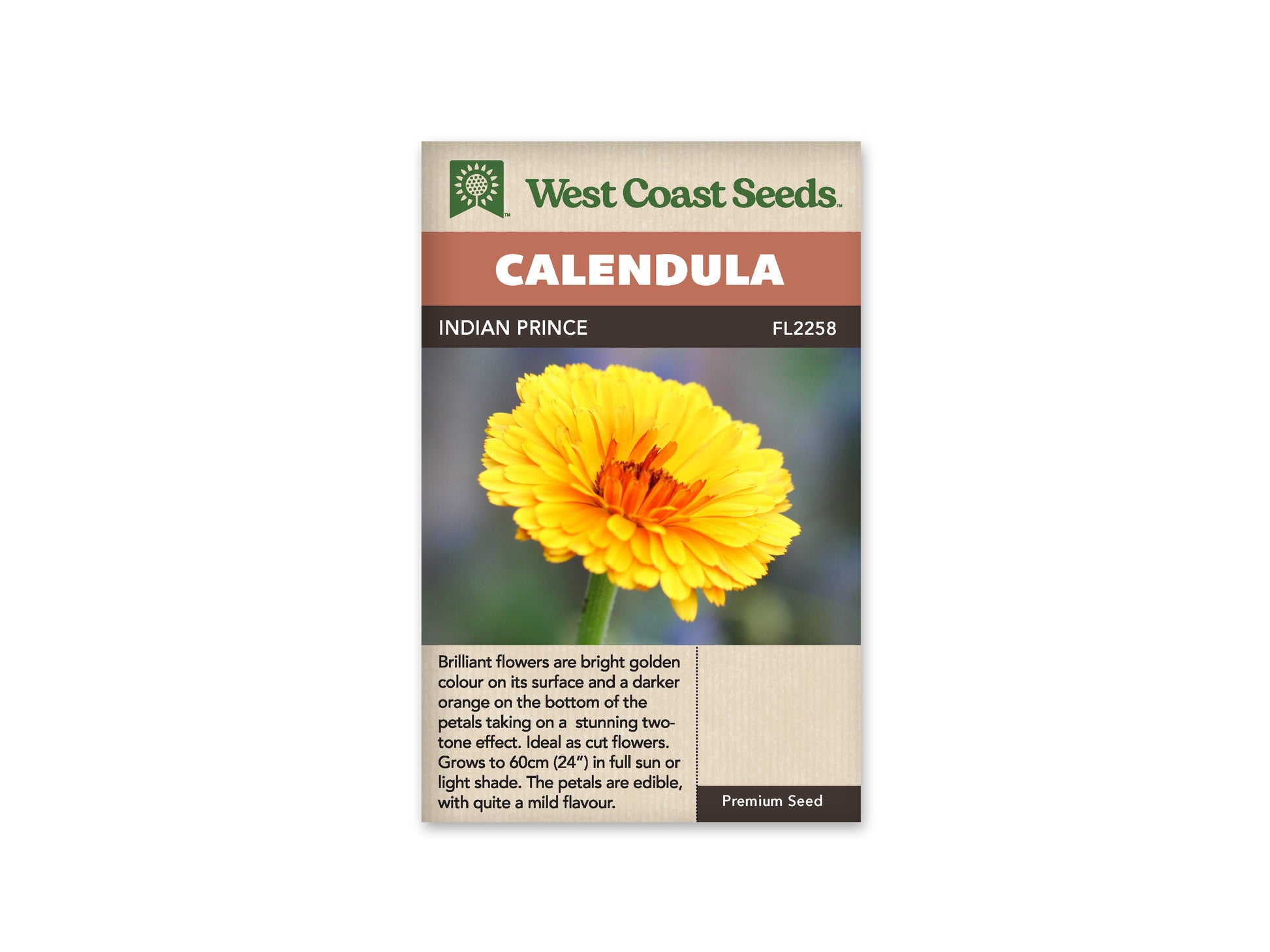 Calendula "Indian Prince" West Coast Seeds
