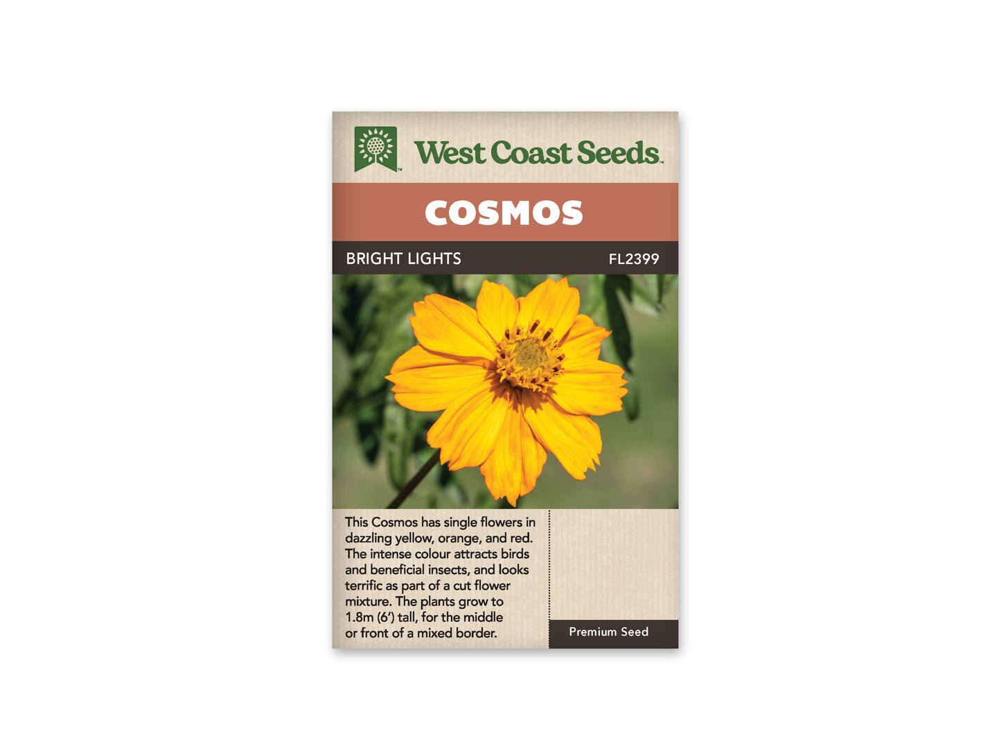 Cosmos “Bright Lights (Sulphur)” West Coast Seeds