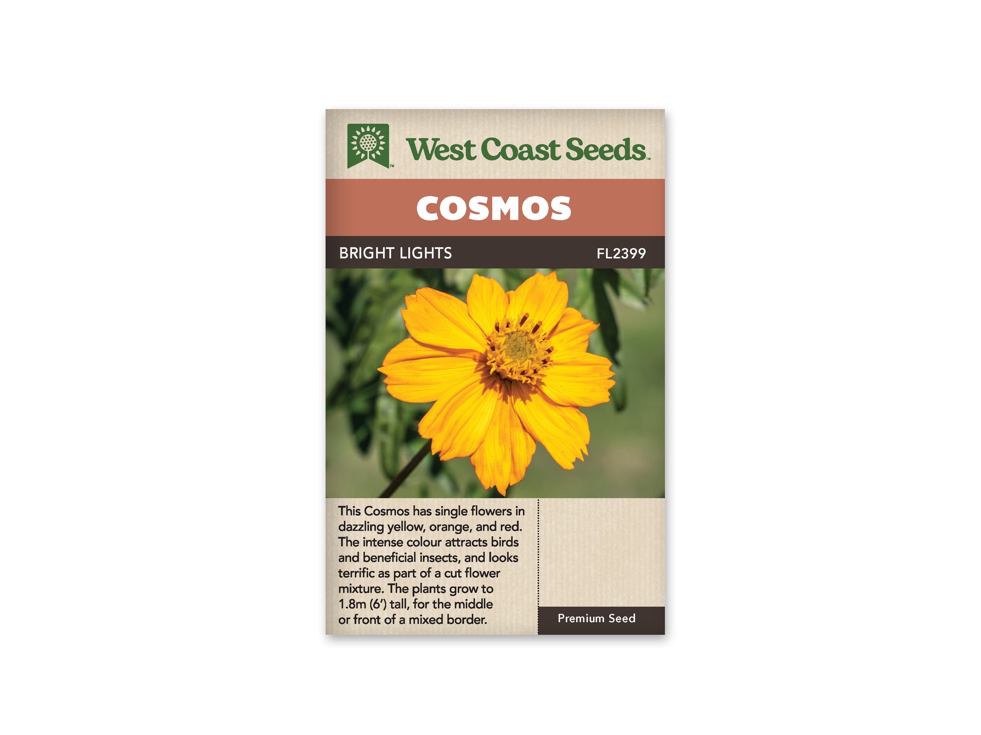 Cosmos "Bright Lights (Sulphur)" West Coast Seeds