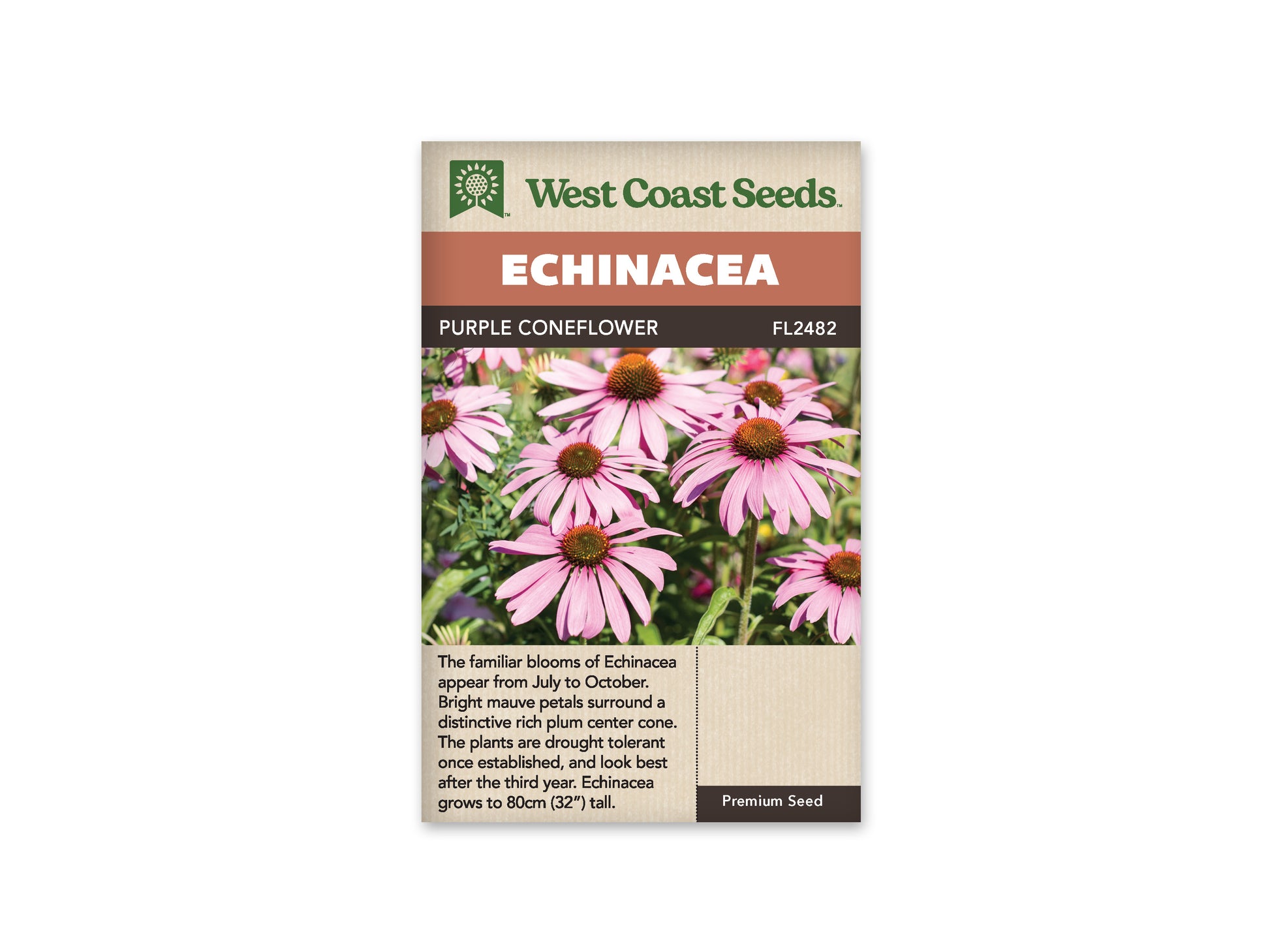 Echinacea "Purple Coneflower" West Coast Seeds
