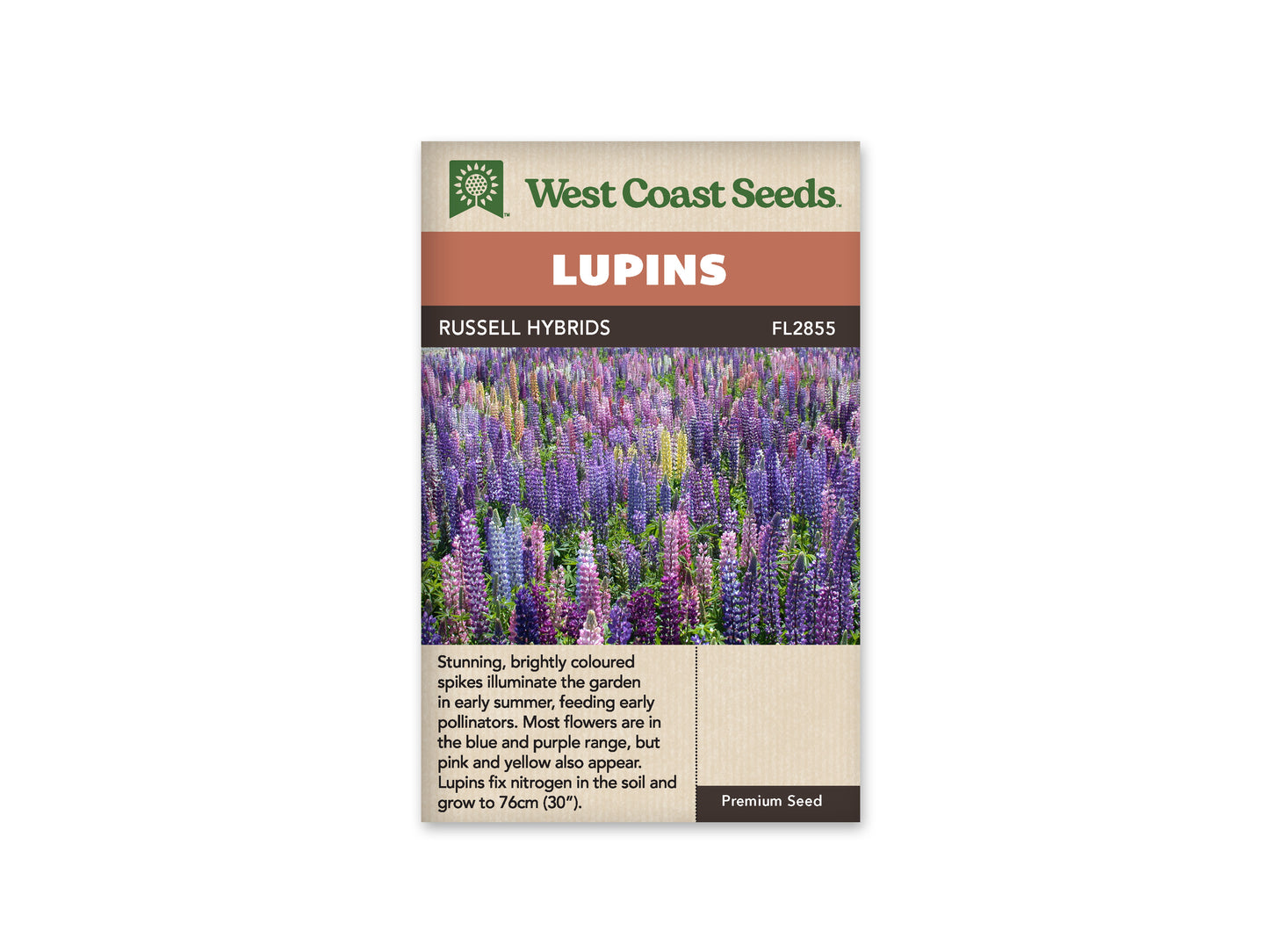Lupine "Russell Mix" West Coast Seeds