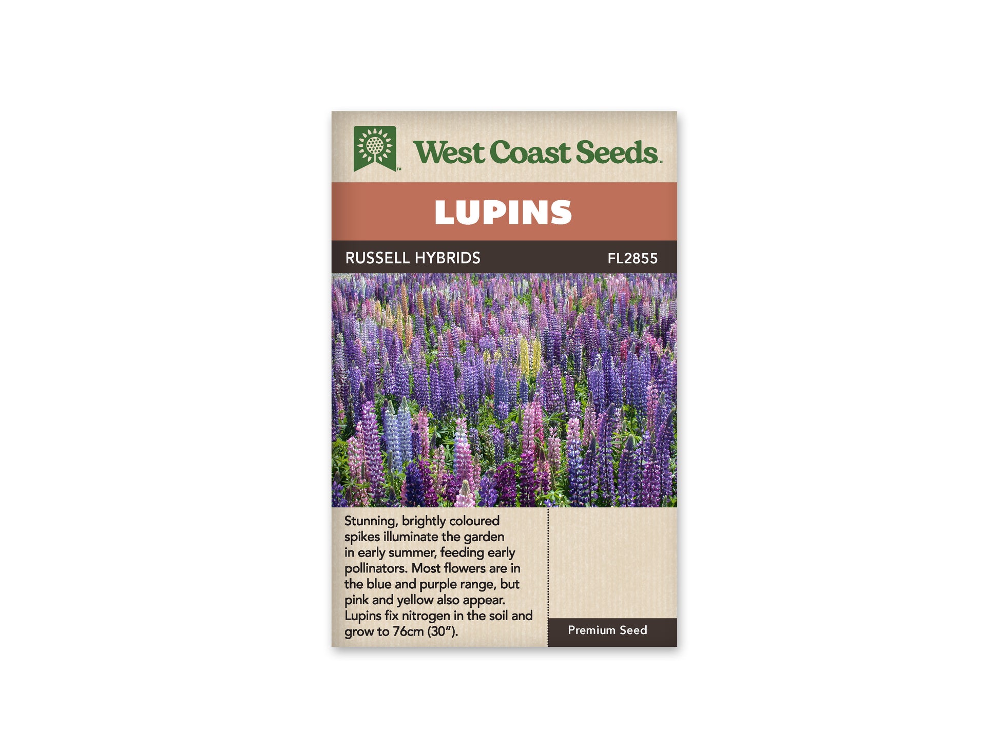 Lupine "Russell Mix" West Coast Seeds