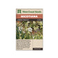 Nicotiana “Jasmine Tobacco” West Coast Seeds