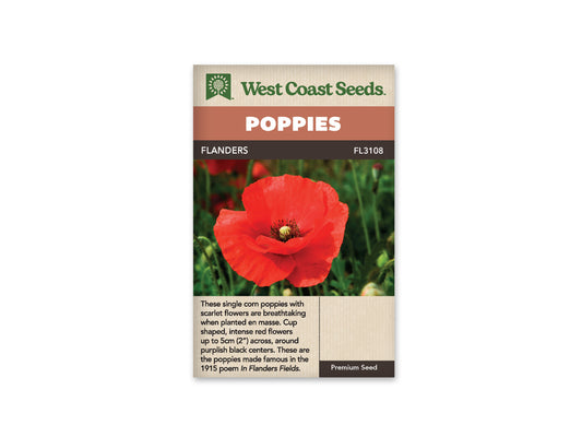 Poppies “Flanders Poppy” West Coast Seeds