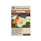 Poppies “Iceland” West Coast Seeds