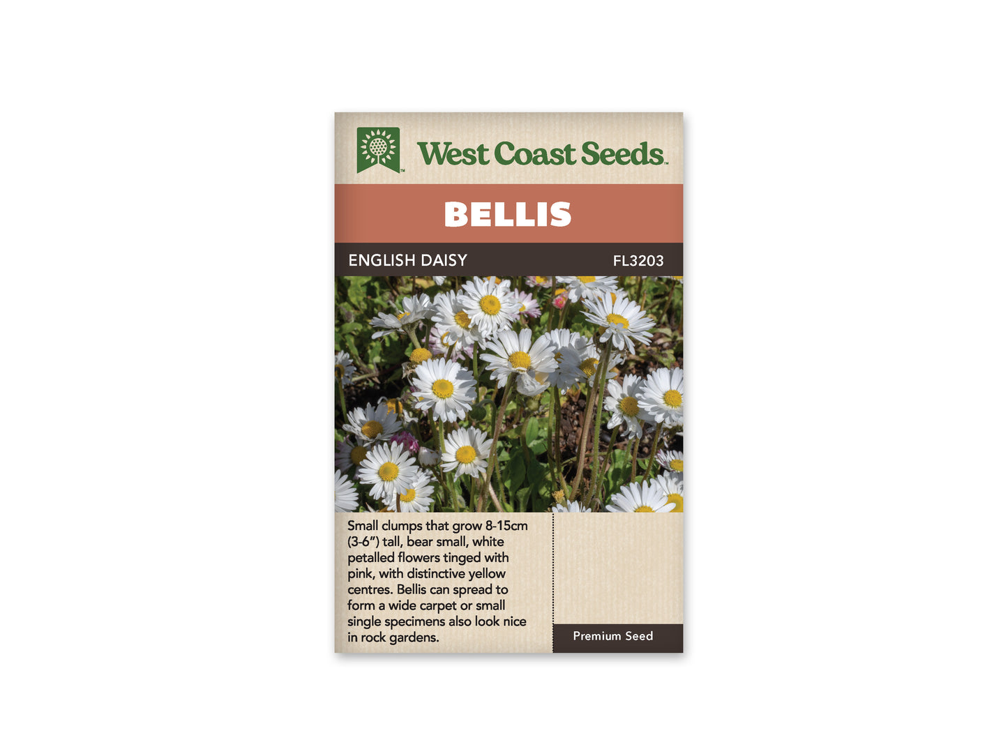 Daisy “English Bellis” West Coast Seeds