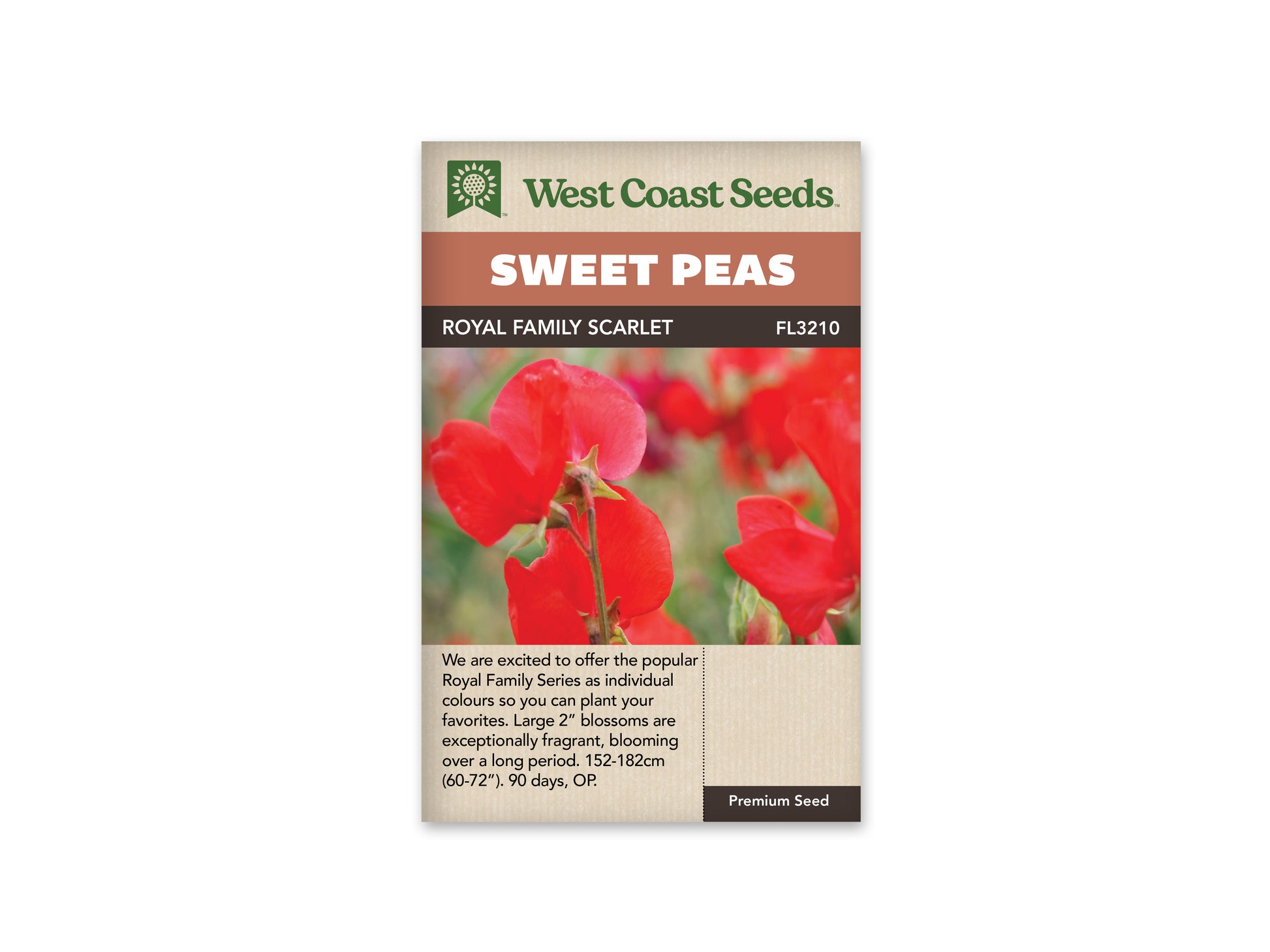 Sweet Peas “Royal Family Scarlet” West Coast Seeds