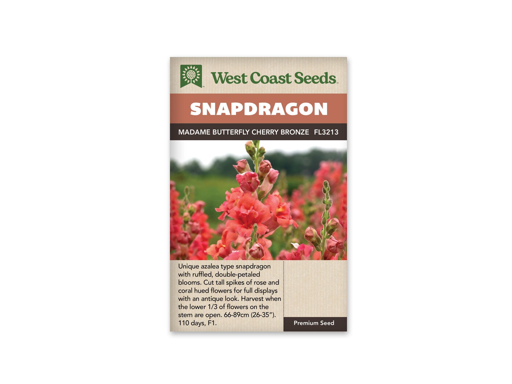 Snapdragon “Madame Butterfly Cherry Bronze F1” West Coast Seeds