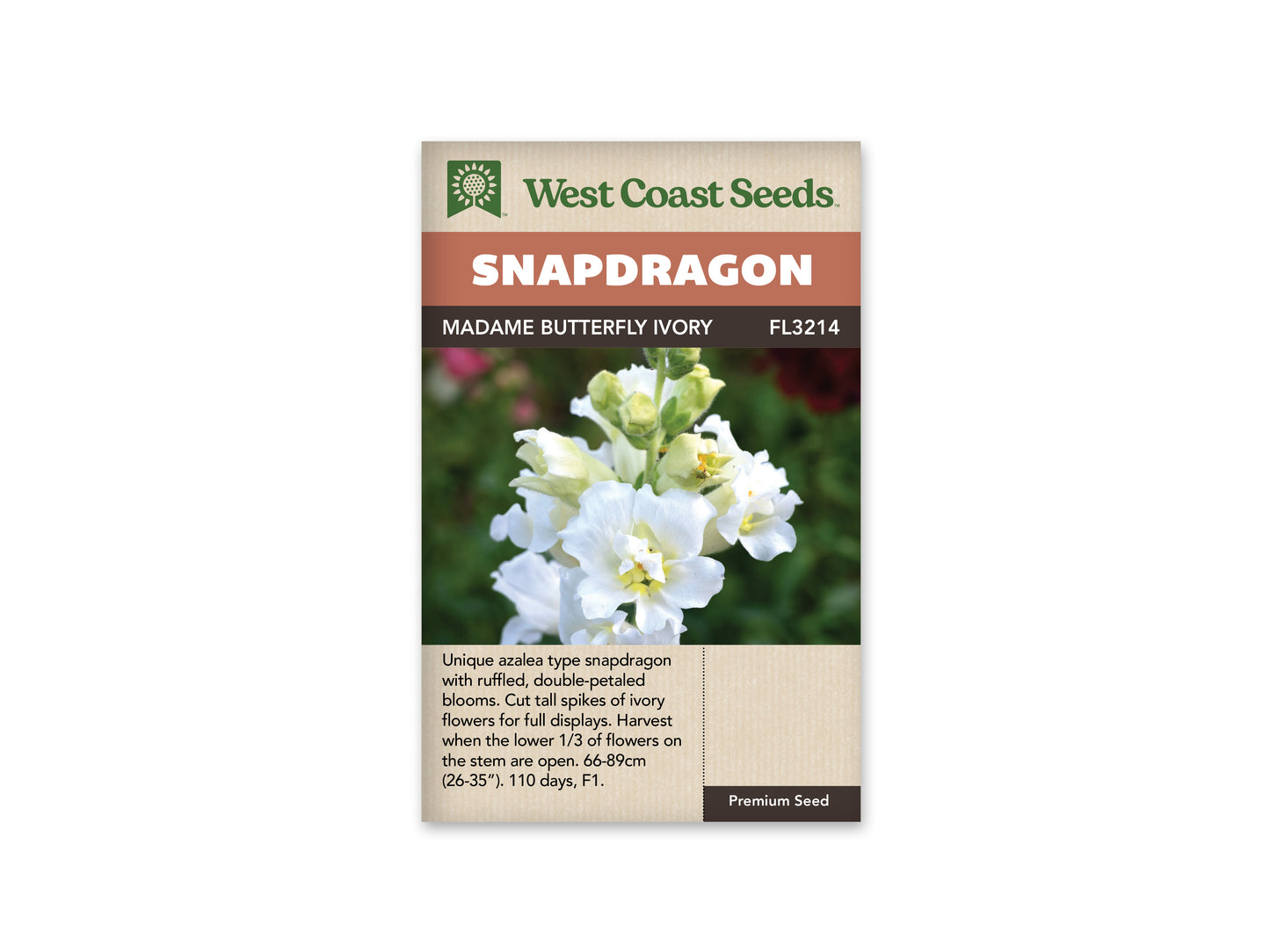 Snapdragon "Madame Butterfly Ivory F1" West Coast Seeds