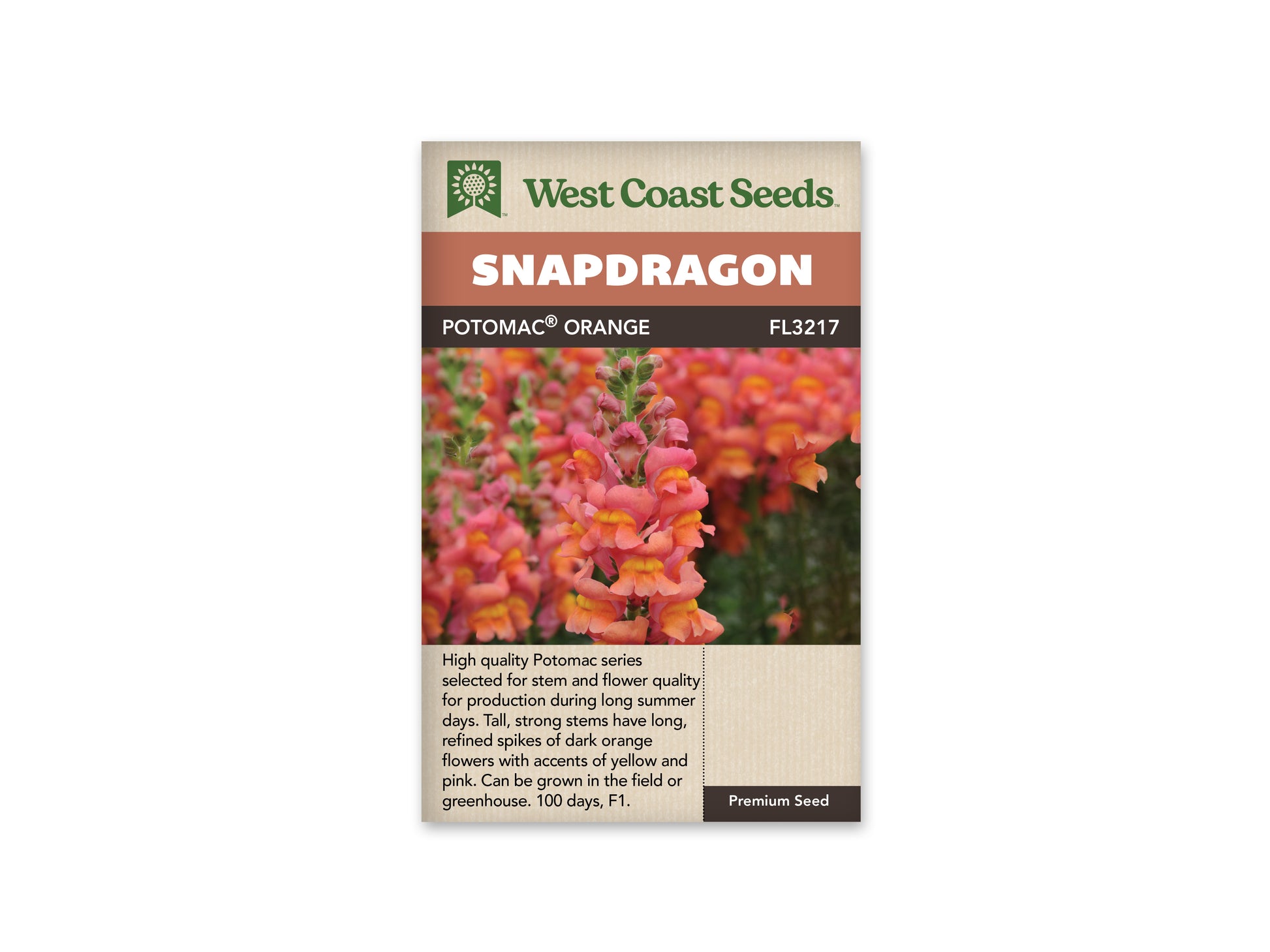 Snapdragon “Potomac Orange F1” West Coast Seeds