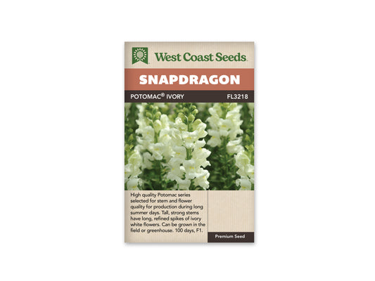 Snapdragon “Potomac Ivory White F1” West Coast Seeds