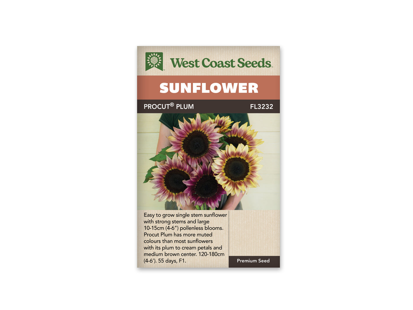 Sunflowers “ProCut Plum F1” West Coast Seeds
