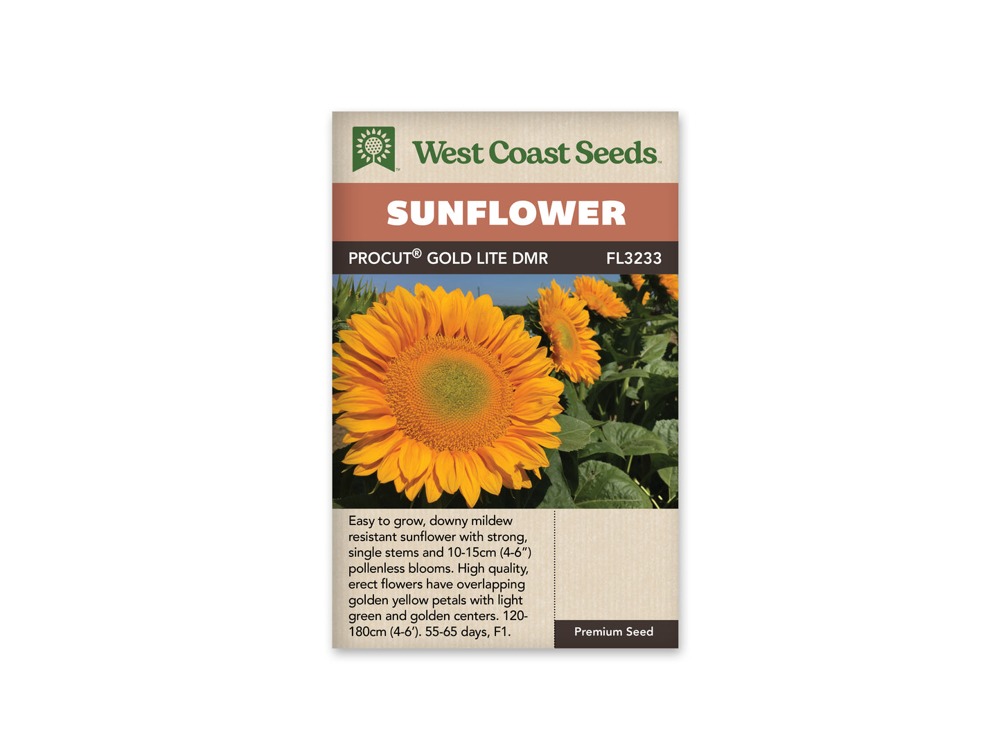 Sunflowers “ProCut Gold Lite DMR F1” West Coast Seeds