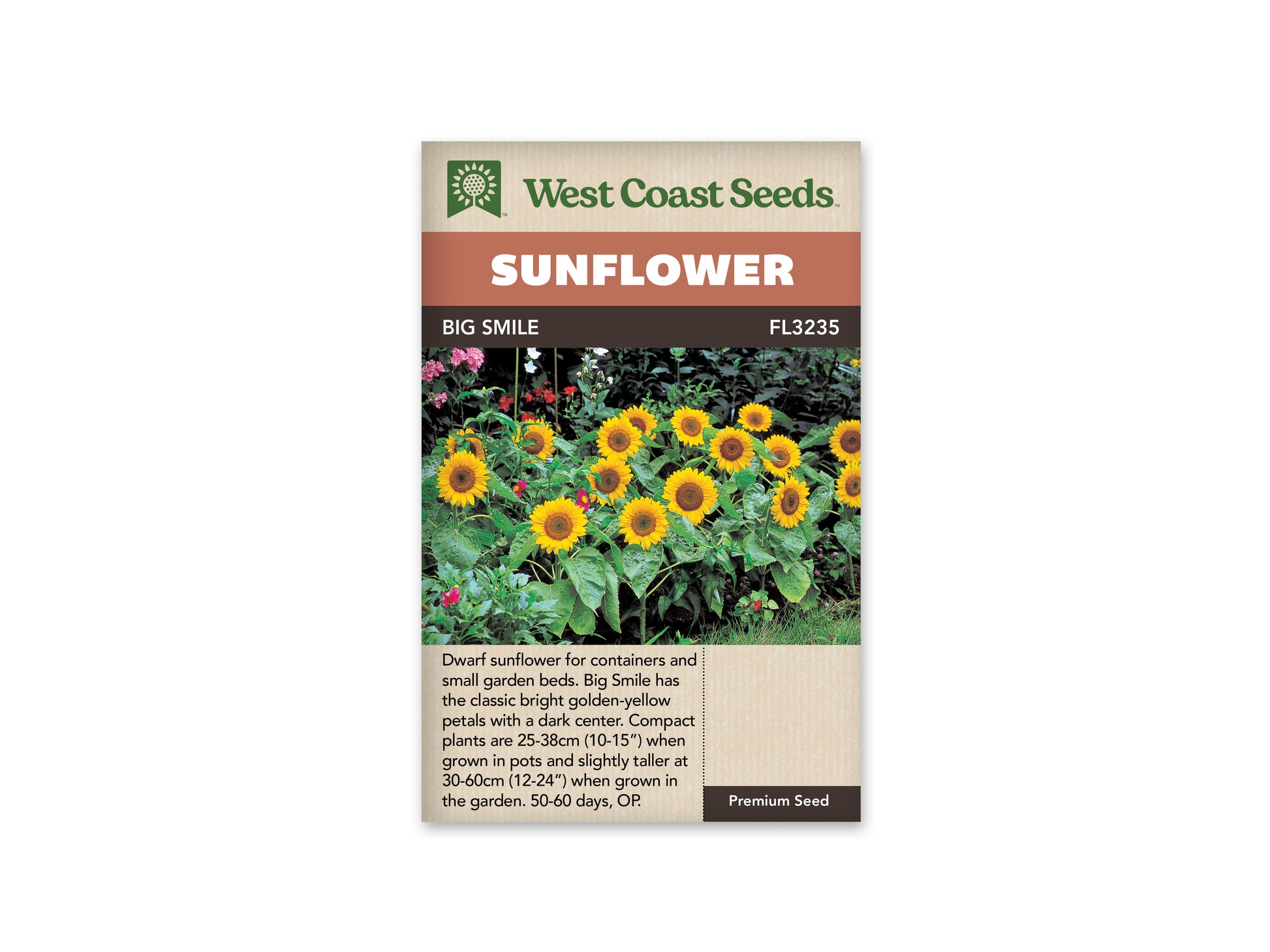 Sunflowers “Big Smile” West Coast Seeds