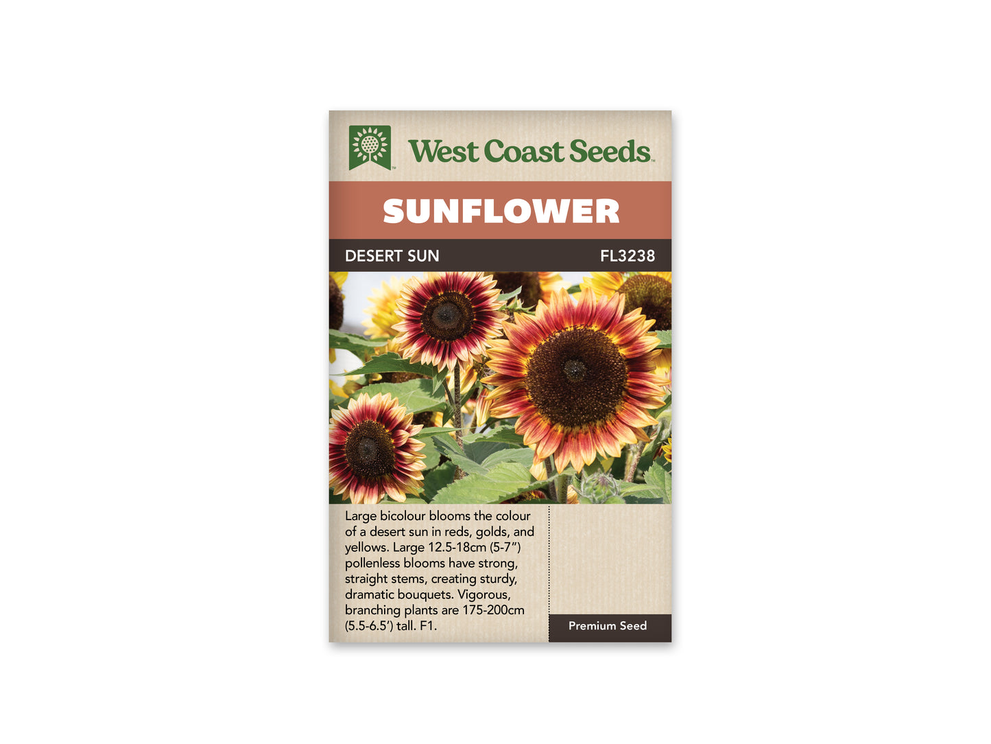 Sunflowers “Desert Sun F1” West Coast Seeds