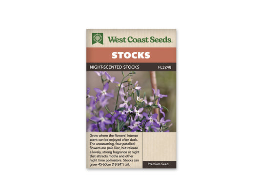Stock "Evening Scented Stock" West Coast Seeds