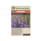 Stock "Evening Scented Stock" West Coast Seeds